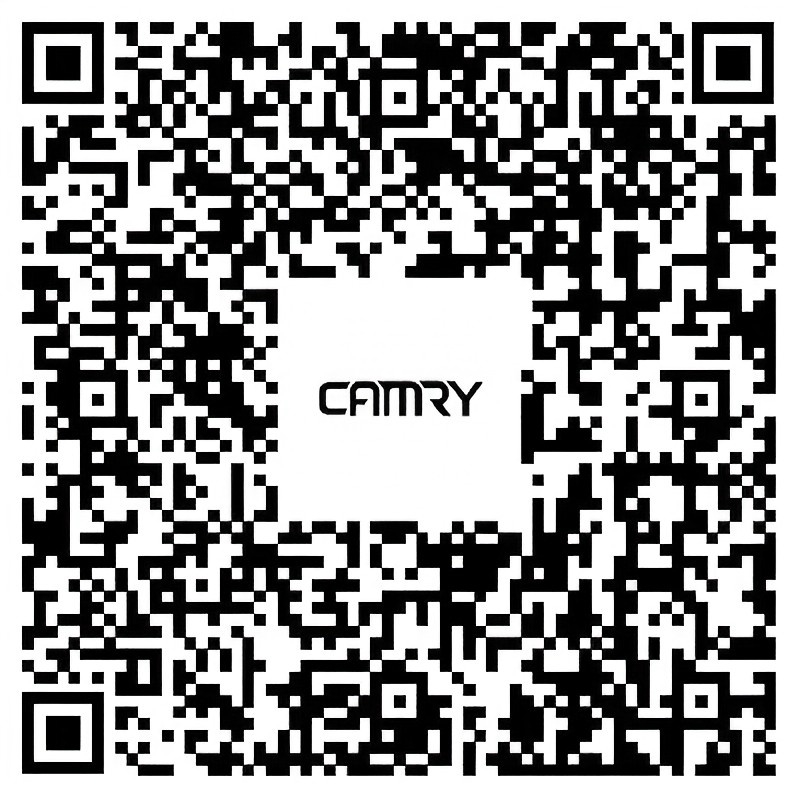 the qr code